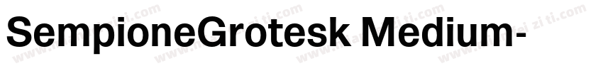 SempioneGrotesk Medium字体转换